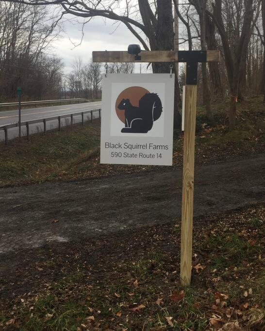Modern, Bright & Calm 1 Bedroom / 1 Bath Farm Retreat Apartment Penn Yan