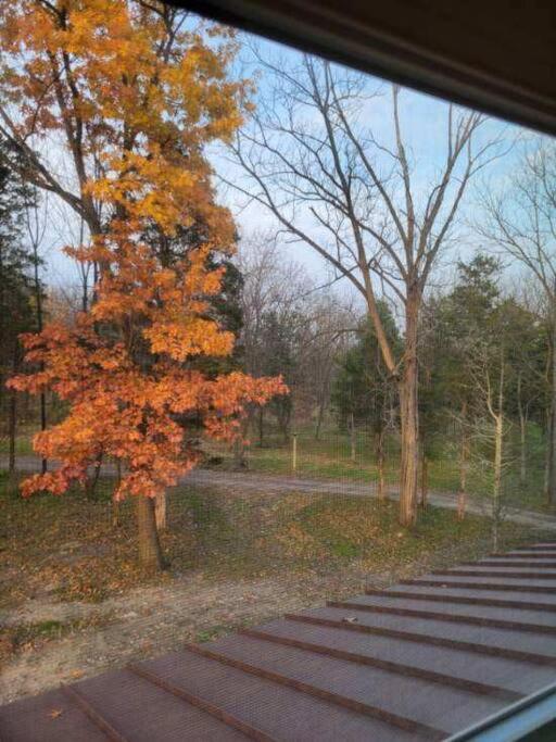 Modern, Bright & Calm 1 Bedroom / 1 Bath Farm Retreat Penn Yan